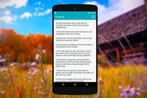 Biblia Ayuda App скриншот 3