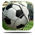Soccer Ball Live Wallpaper icône
