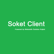 SocketClient