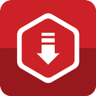 Video Downloader icône