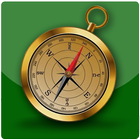 Compass Pro ícone