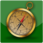 Compass Pro icon