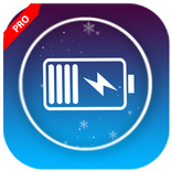 Fast charger Battery 3X