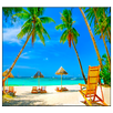 Beach Live Wallpaper APK