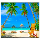 समुद्र तट लाइव वॉलपेपर