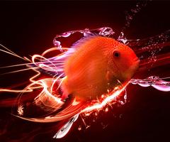 2 Schermata Cool Fish Wallpaper