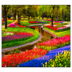 Garden Live Wallpaper APK