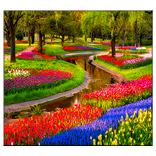 बगीचा लाइव वॉलपेपर