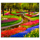 Garden Live Wallpaper APK