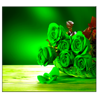 Green Rose icône