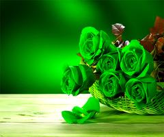 Green Rose Affiche