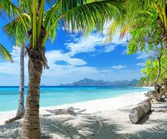 3 Schermata Paradise Live Wallpaper