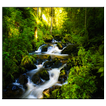 River Live Wallpaper