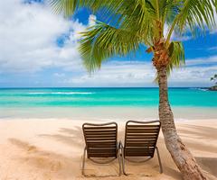 Poster Summer Beach Live Wallpaper