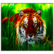 tigre live wallpaper