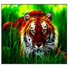 آیکون‌ Tiger