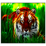 Tiger আইকন