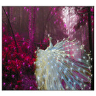 White Peacock Live Wallpaper icon