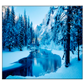 Winter Live Wallpaper