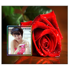 Rose Photo Frames HD 图标