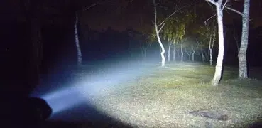 Police Flashlight