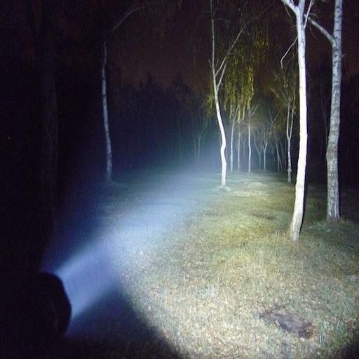 Police Flashlight