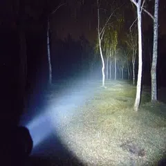 Police Flashlight APK download