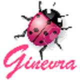 Ginevra web browser icône