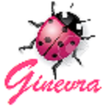 Ginevra web browser