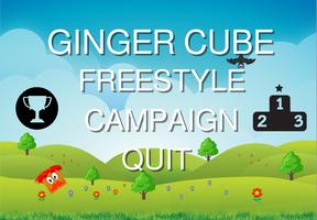 Ginger Cube Affiche