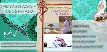 Barashada Salaada