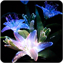 APK Optic Flowers Live Wallpaper