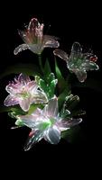 Optic Flowers Live Wallpaper Plakat