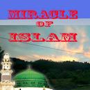 APK Miracle Of Islam