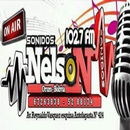 Radio Sonido Nelson 102.7 APK