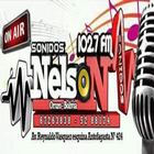 Sonidos Nelson 102.7 أيقونة