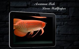 Arowana Fish LiveWallpaper Affiche