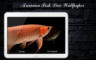 Arowana Fish LiveWallpaper imagem de tela 1