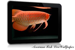 Arowana Fish LiveWallpaper imagem de tela 2