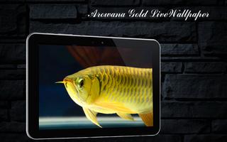 Arowana Gold LiveWallpaper captura de pantalla 2