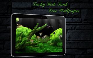 Lucky Fish Tank LiveWallpaper poster