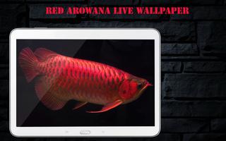 Red Arowana LiveWallpaper capture d'écran 2