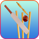 APK Live Cricket Score Schedule & News With AutoUpdate