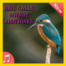 Bird Calls Sounds Ringtones APK