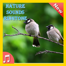 Nature Sounds Ringtone APK