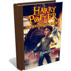 Harri Potter - Jadygöýüň daşy ikona