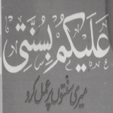 Alaikum Bi Sunnati icono