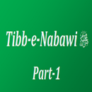 Tibb e Nabawi in English APK