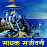 Bhagavad Gita Sadhak Sanjivani icône