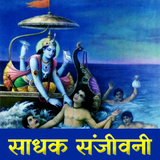 Bhagavad Gita Sadhak Sanjivani иконка